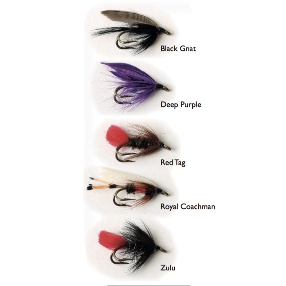 Wet Fly Double 5-pack in the group Lures / Flies / Fly Kits at Sportfiskeprylar.se (WFB102)