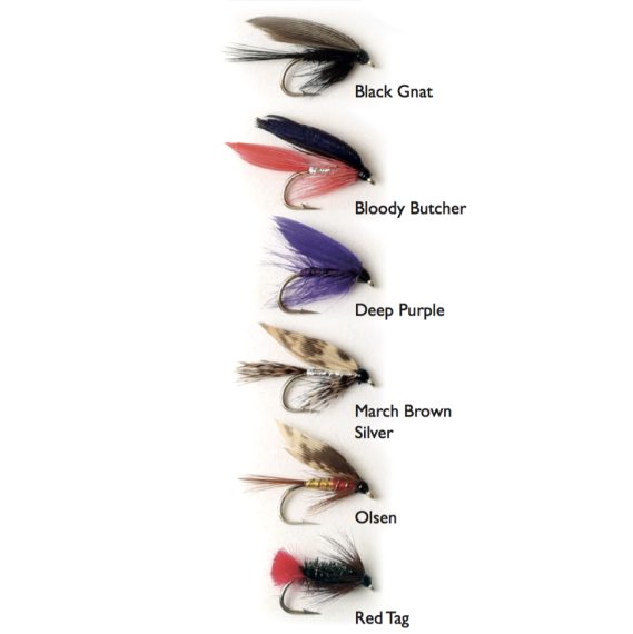 Wet Fly 1 6-pack in the group Lures / Flies / Fly Kits at Sportfiskeprylar.se (WFB121)