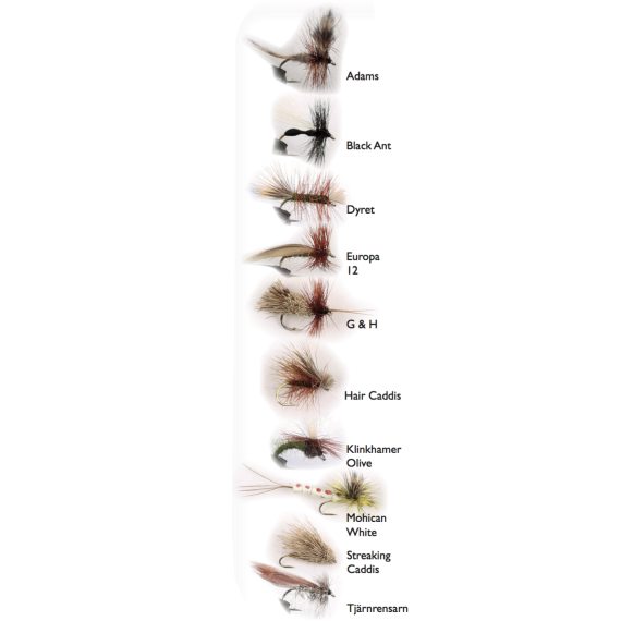 Dry Fly 2 10-pack in the group Lures / Flies / Dry Flies at Sportfiskeprylar.se (WFB1224)