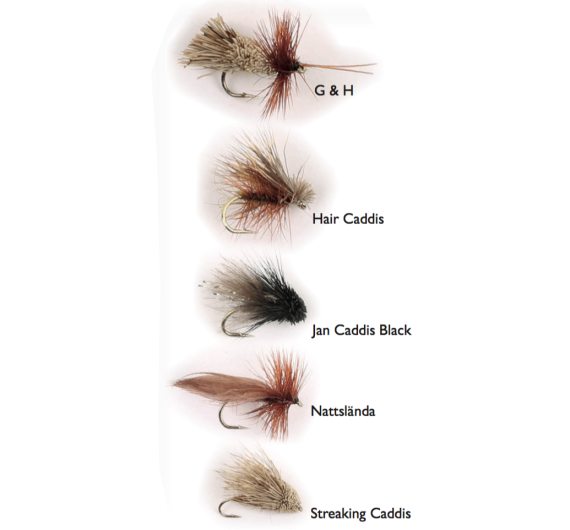 Dry Fly Sedges 5-pack in the group Lures / Flies / Dry Flies at Sportfiskeprylar.se (WFB125)