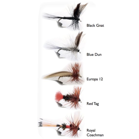 Dry Fly 1 5-pack in the group Lures / Flies / Dry Flies at Sportfiskeprylar.se (WFB143)