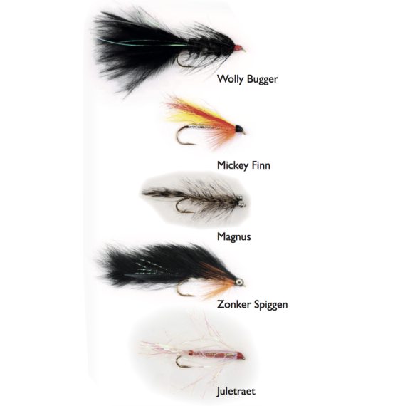 Seatrout Classics 5-pack in the group Lures / Flies / Shore Flies at Sportfiskeprylar.se (WFB69)