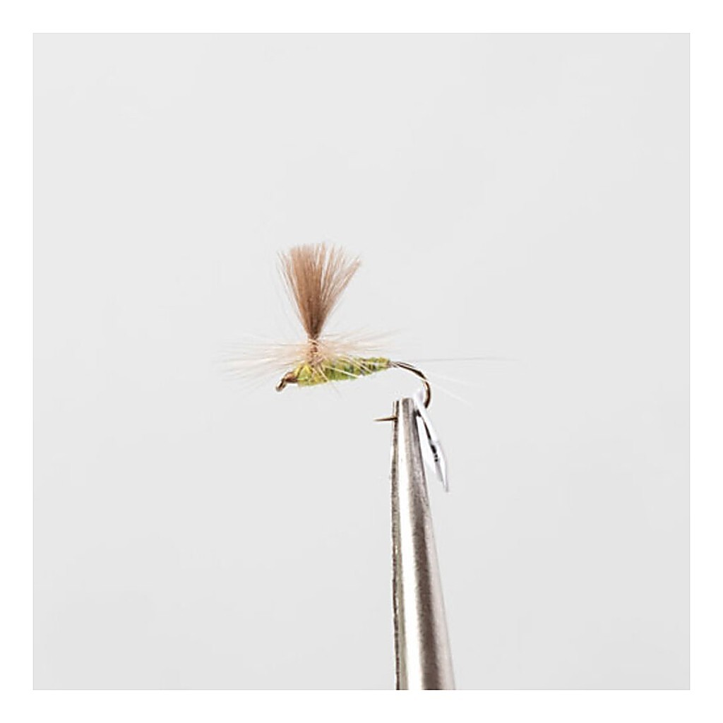 Olive Flash # 12 in the group Lures / Flies / Dry Flies at Sportfiskeprylar.se (dano045)