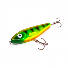 Orange Belly Perch