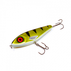 Golden Perch