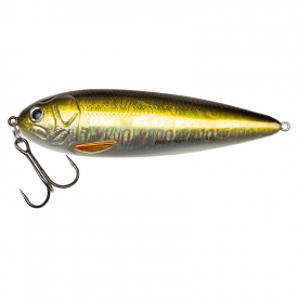 Golden Roach