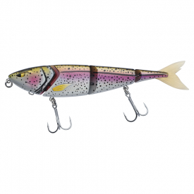 Rainbow Trout