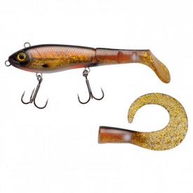 Crucian Carp