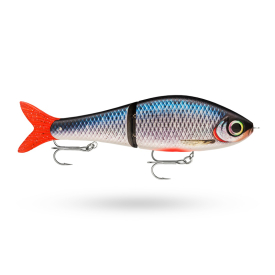 Wobbler Rapala Super Shadow Rap 11cm/38g - Scaled Roach (Leurre Pour Brochet) - NEUF