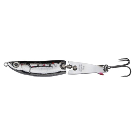 Black Back Minnow