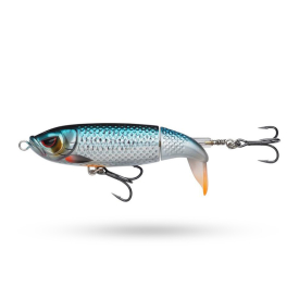 Roach
