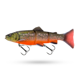 Artic Char