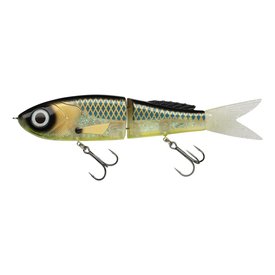 Funky Fish