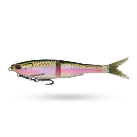 Rainbow Trout