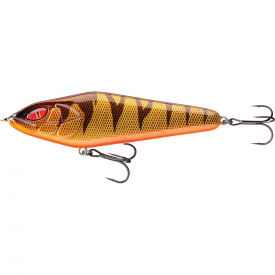 Gold Tiger