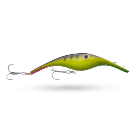 Yellow Perch