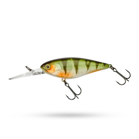 Ghost Perch