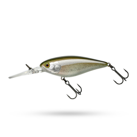 Secret Sand Eel