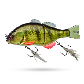 Rt Yellow Perch