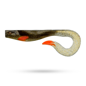 Gold Carp