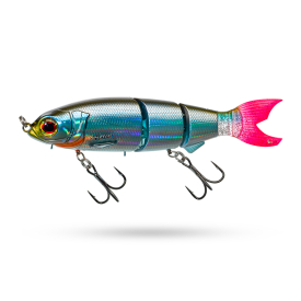Roach Tendance