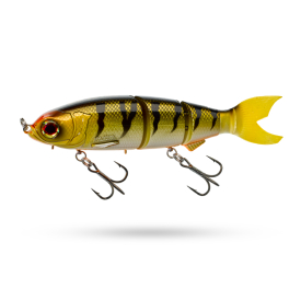 Gold Perch Orange