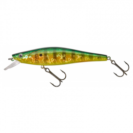Fire Gold Perch