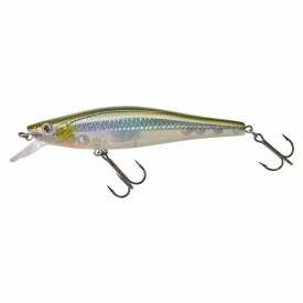 HL Minnow