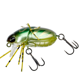 Cockroach