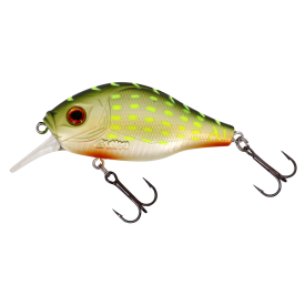 Electric Pike