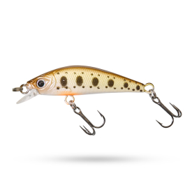 Secret Trout