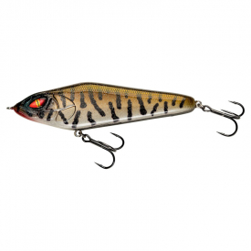 Live Burbot