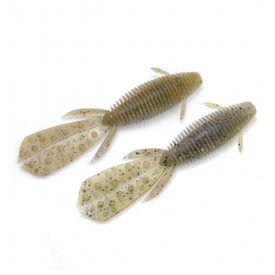 Molting Crayfish
