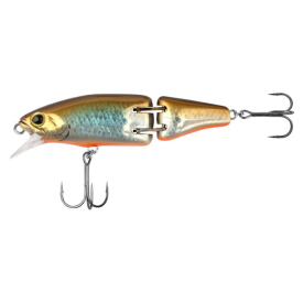 Tn Shad