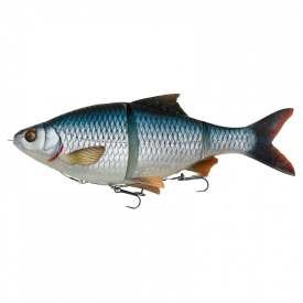 Roach