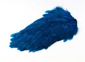 WD/Kingfisher Blue