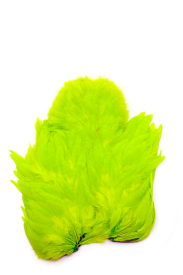 White dyed Fl. Green Chartreuse