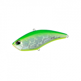Citrus Shiner