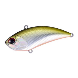 Tennessee Shad 