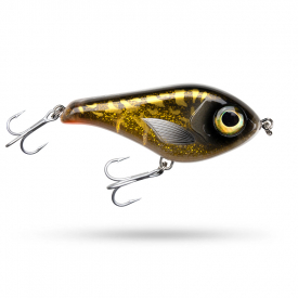 Yukon Burbot