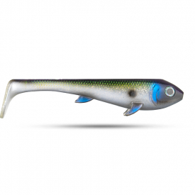 Sidescan Whitefish