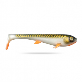 Tennessee Shad