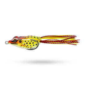 Clown Frog
