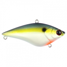 100 Swimming Minnow