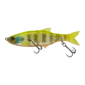 White Gill Orange Belly