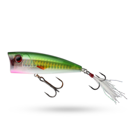 Smelt