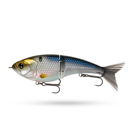 Baitfest