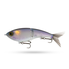 Lavish Shad