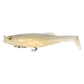 White Back Shad