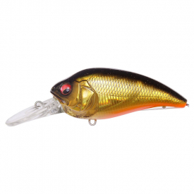 GG Megabass Kinkuro
